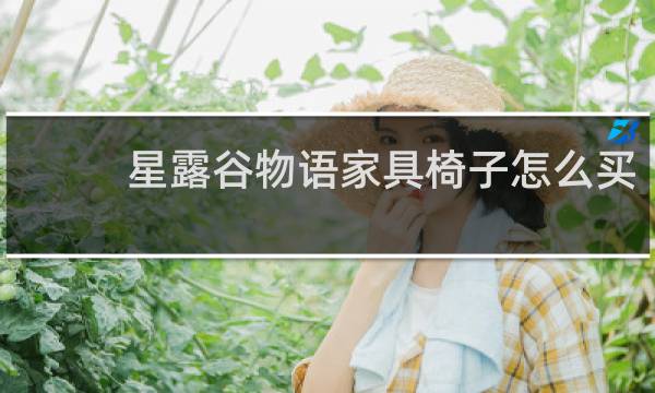 星露谷物语家具椅子怎么买