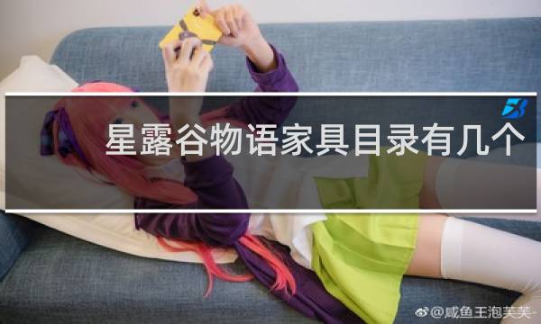星露谷物语家具目录有几个