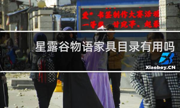 星露谷物语家具目录有用吗