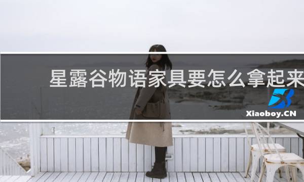星露谷物语家具要怎么拿起来