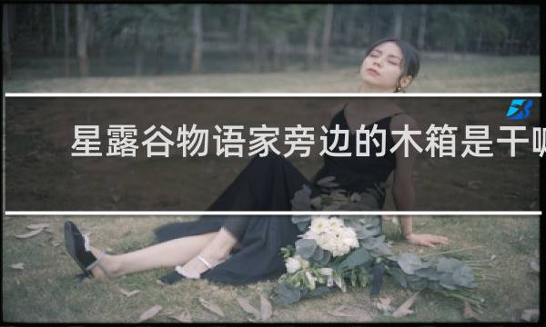 星露谷物语家旁边的木箱是干嘛
