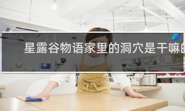 星露谷物语家里的洞穴是干嘛的