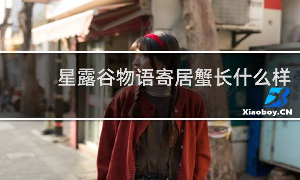 星露谷物语寄居蟹长什么样
