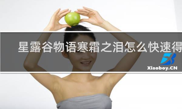 星露谷物语寒霜之泪怎么快速得到