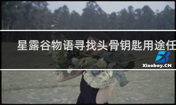 星露谷物语寻找头骨钥匙用途任务