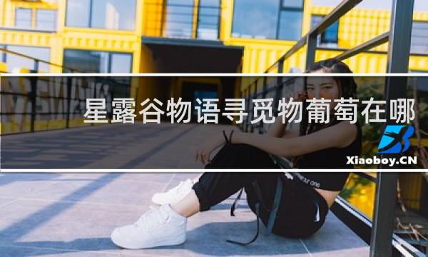 星露谷物语寻觅物葡萄在哪