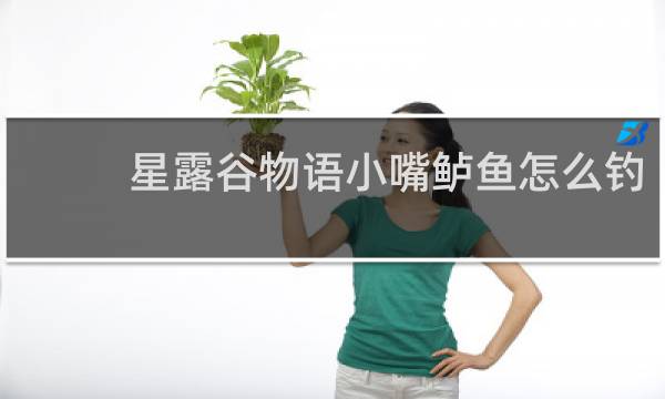 星露谷物语小嘴鲈鱼怎么钓