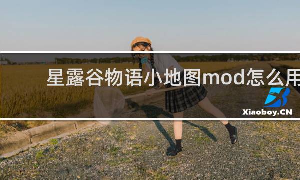星露谷物语小地图mod怎么用