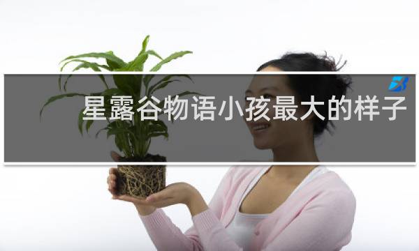 星露谷物语小孩最大的样子