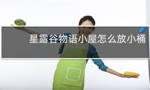 星露谷物语小屋怎么放小桶
