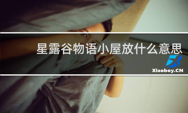 星露谷物语小屋放什么意思