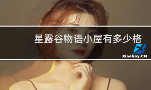 星露谷物语小屋有多少格