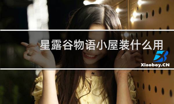 星露谷物语小屋装什么用