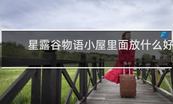 星露谷物语小屋里面放什么好