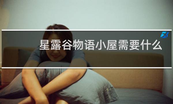 星露谷物语小屋需要什么