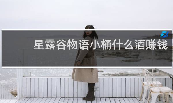 星露谷物语小桶什么酒赚钱