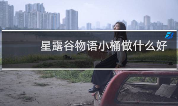 星露谷物语小桶做什么好