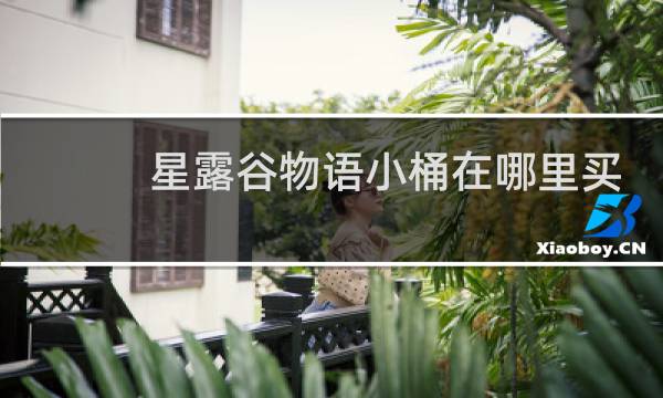 星露谷物语小桶在哪里买
