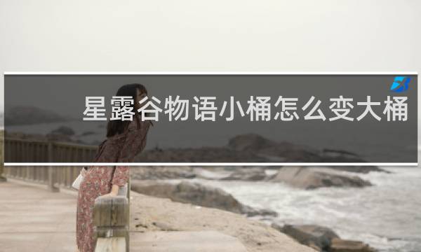 星露谷物语小桶怎么变大桶