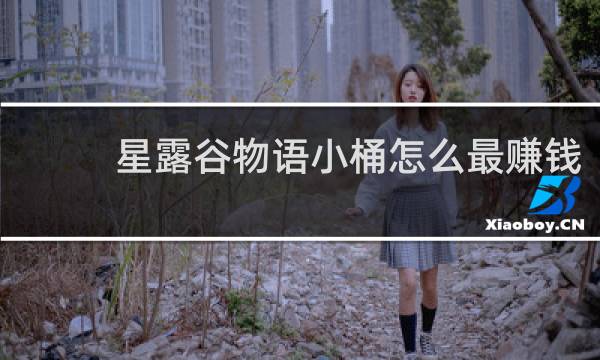 星露谷物语小桶怎么最赚钱