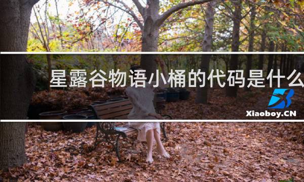 星露谷物语小桶的代码是什么
