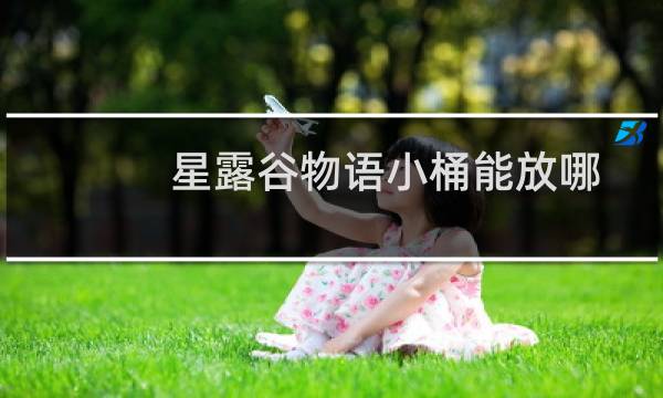 星露谷物语小桶能放哪
