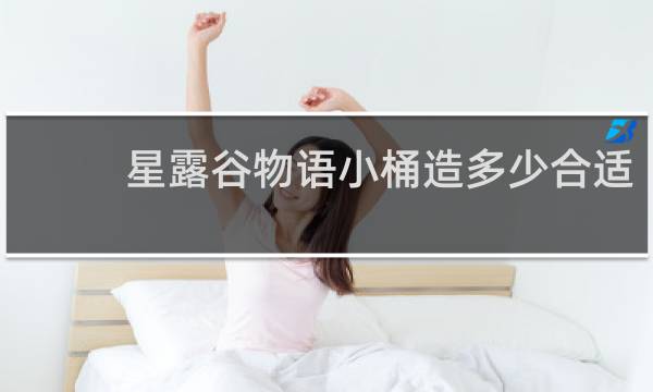 星露谷物语小桶造多少合适