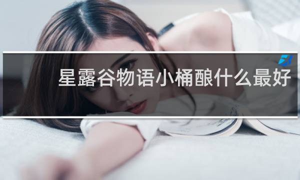 星露谷物语小桶酿什么最好