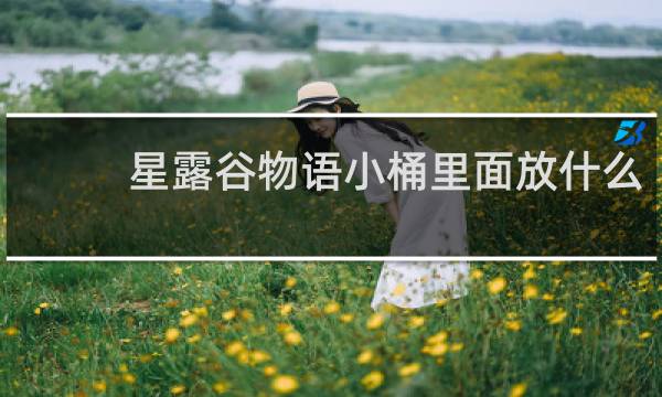 星露谷物语小桶里面放什么