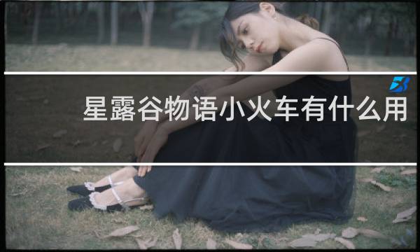 星露谷物语小火车有什么用