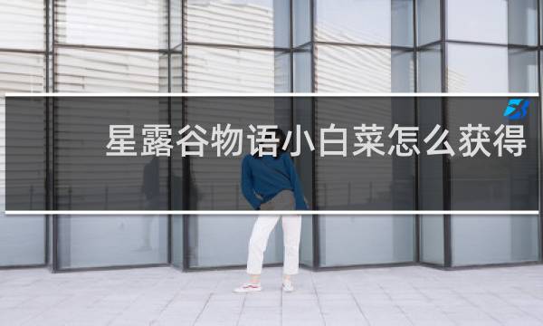 星露谷物语小白菜怎么获得