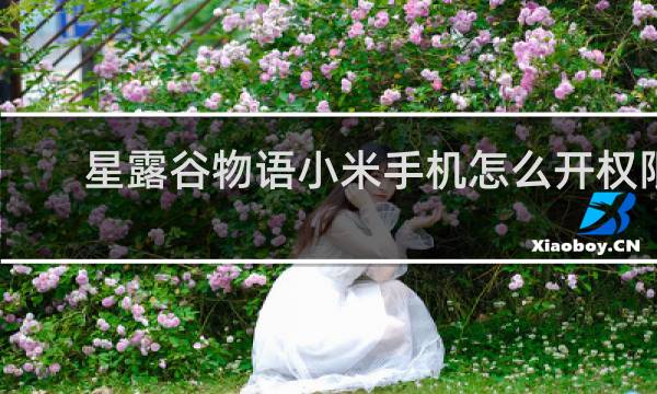 星露谷物语小米手机怎么开权限