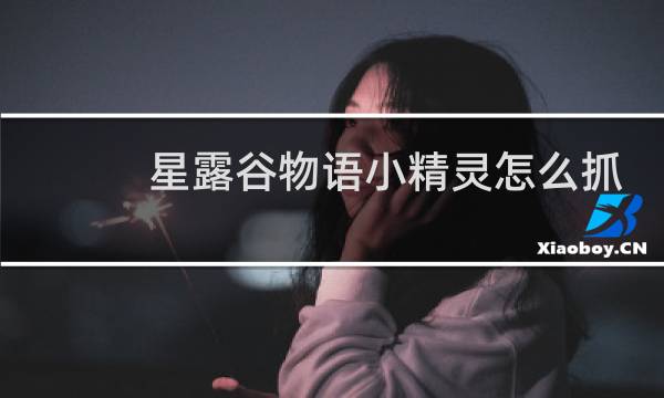 星露谷物语小精灵怎么抓