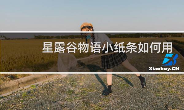 星露谷物语小纸条如何用