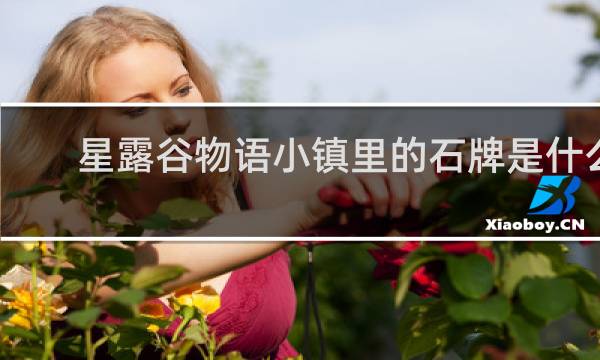 星露谷物语小镇里的石牌是什么