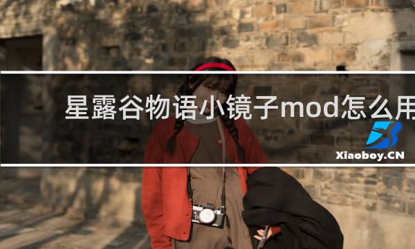星露谷物语小镜子mod怎么用