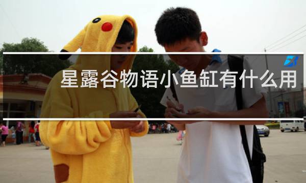 星露谷物语小鱼缸有什么用