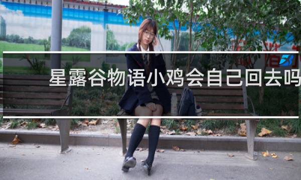 星露谷物语小鸡会自己回去吗