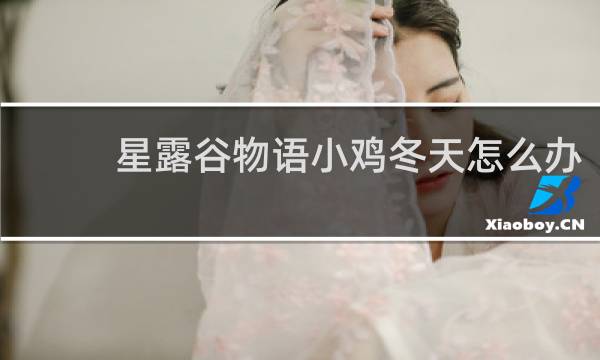 星露谷物语小鸡冬天怎么办