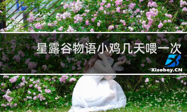 星露谷物语小鸡几天喂一次