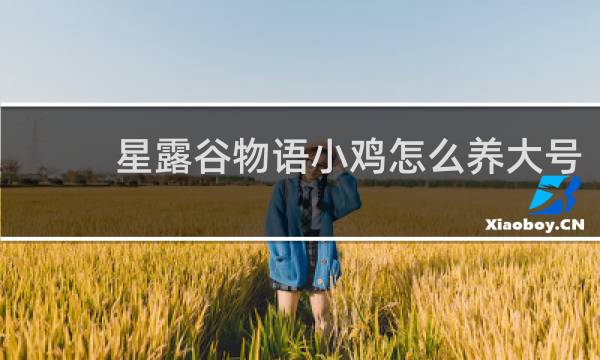 星露谷物语小鸡怎么养大号