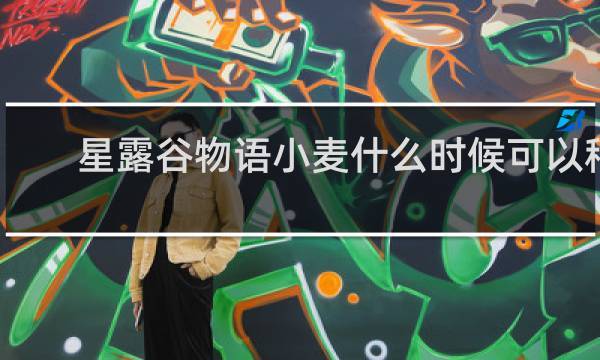 星露谷物语小麦什么时候可以种