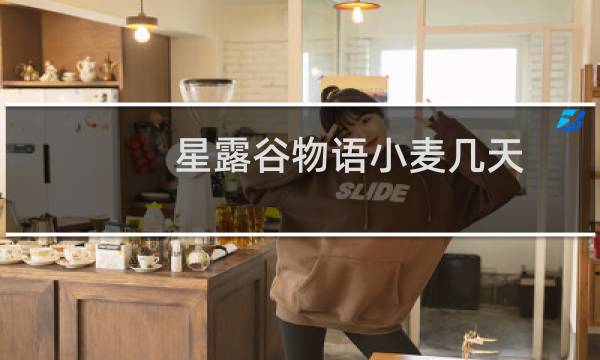 星露谷物语小麦几天
