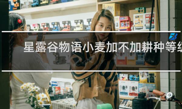 星露谷物语小麦加不加耕种等级