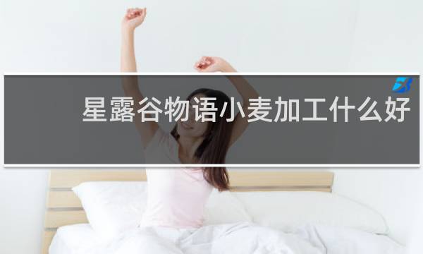 星露谷物语小麦加工什么好