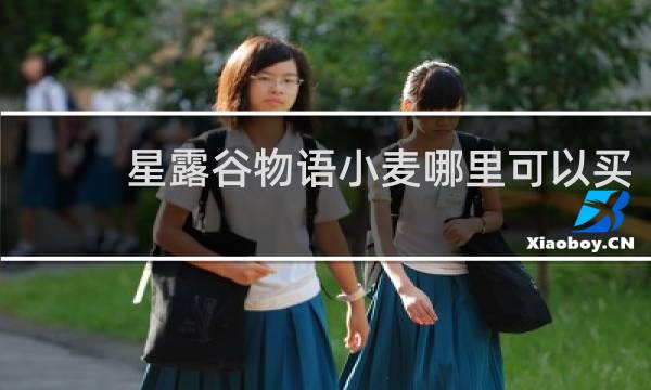 星露谷物语小麦哪里可以买