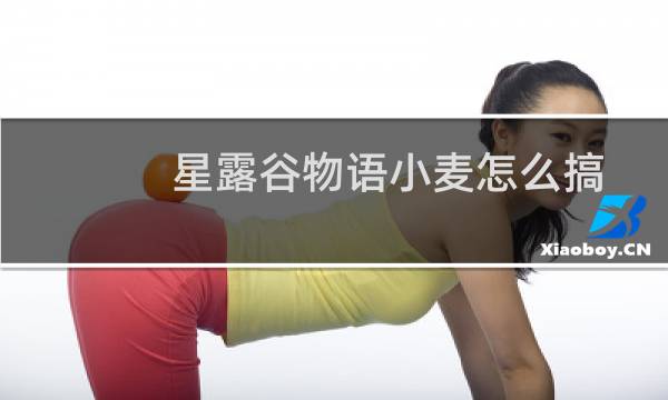 星露谷物语小麦怎么搞