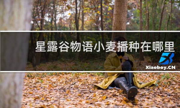 星露谷物语小麦播种在哪里