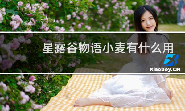 星露谷物语小麦有什么用