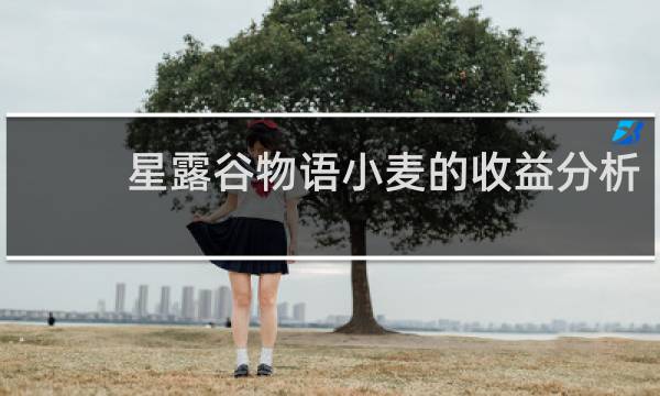 星露谷物语小麦的收益分析